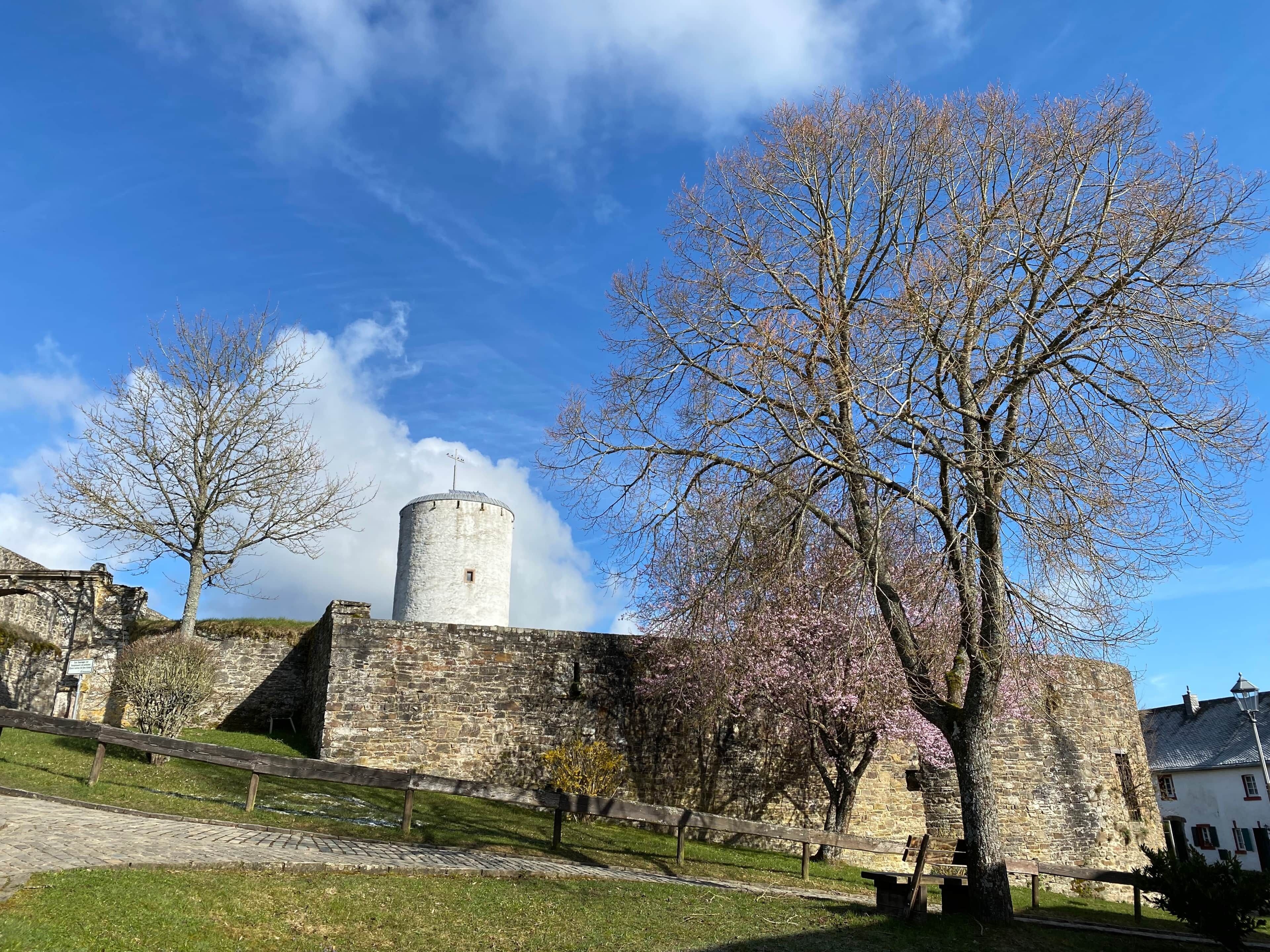 Een historische stenen toren, een houten omheining en een boom met roze bloesems.