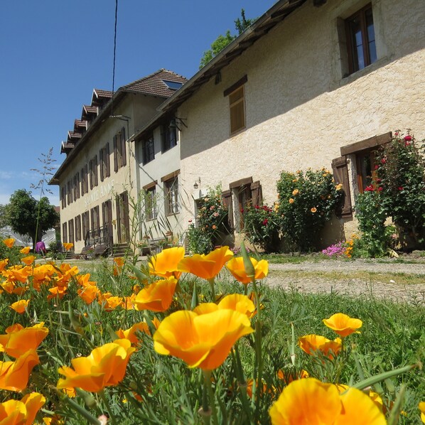 Detalle exterior