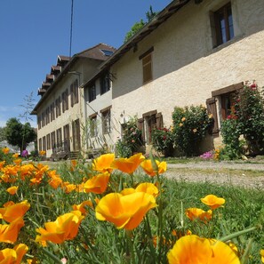 Exterior detail - Bed and Breakfast 'L'attrape-rêves' with Mountain View, Shared Garden and Wi-Fi (Saint-Franc)