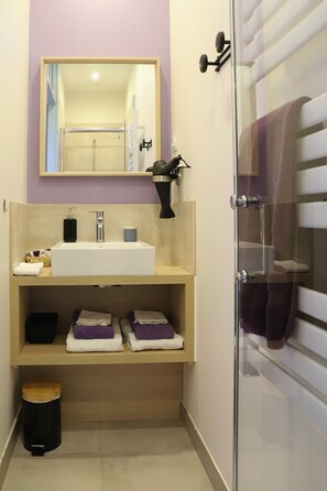 Bathroom - Bed and Breakfast 'L'attrape-rêves' with Mountain View, Shared Garden and Wi-Fi (Saint-Franc)