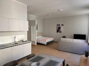 Una stanza moderna e minimalista con angolo cottura, un letto, un divano e zona pranzo.