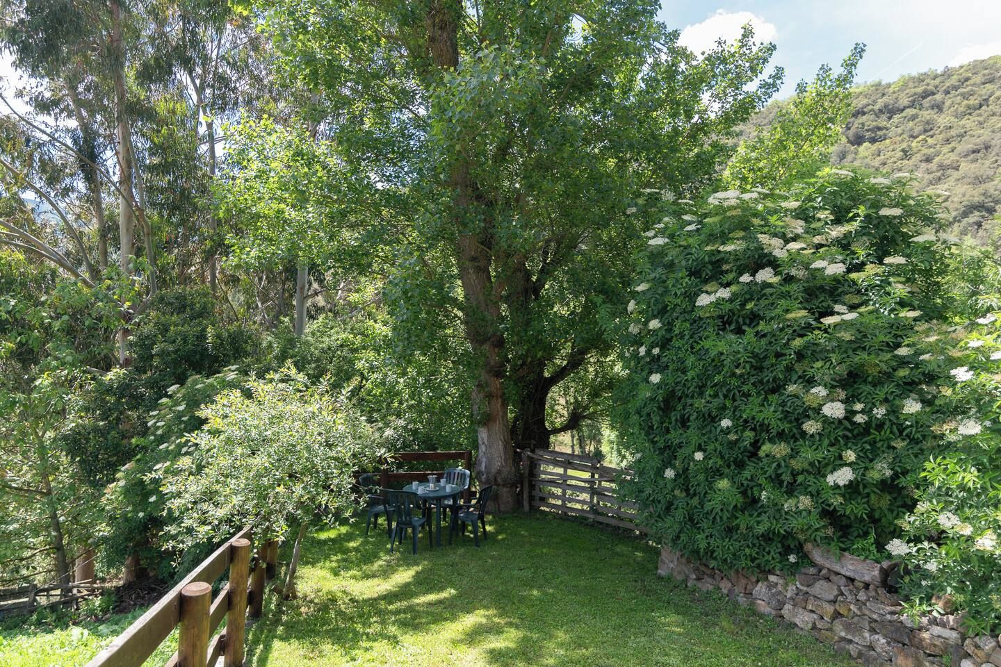 Um jardim com cerca de madeira, mesa e cadeiras, e um muro de pedra.