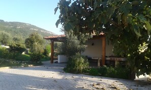 A paved courtyard with a pergola, a building with a tiled roof, and surrounding greenery.