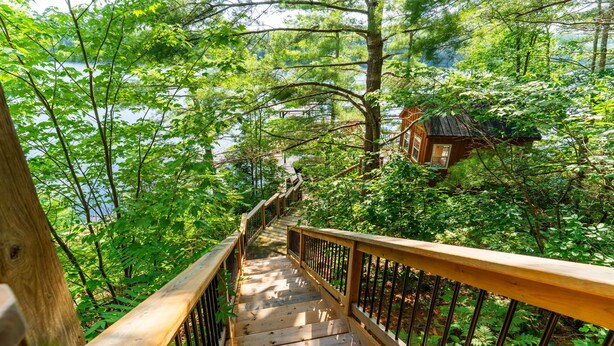 A wooden staircase leading through a forested area with a view of a lake and a small building in the distance.