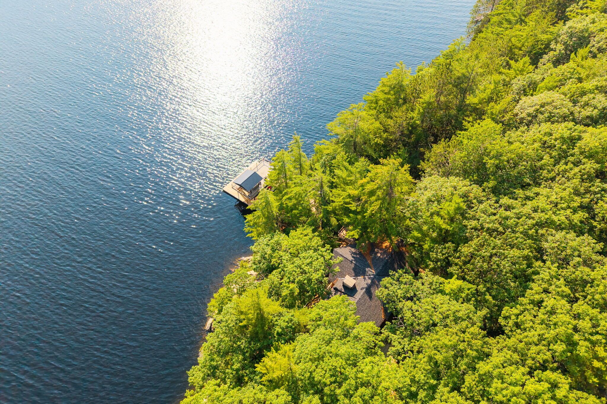 An aerial view of a lakeside property with a dock, surrounded by dense green foliage.