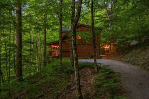 Eine Holzhütte in einem Wald, ein Feldweg führt dorthin.