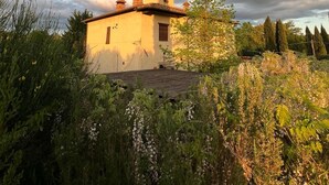 Ein rustikales Haus mit geneigtem Dach, umgeben von dichter Vegetation und hohen Bäumen.