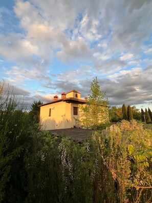 A rustic house with a sloped roof, surrounded by dense vegetation and tall trees. - Private pool between Siena and San Gimignano (Toscana)
