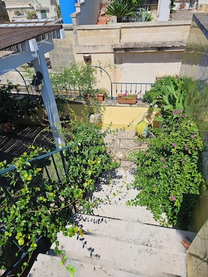 Un jardin sur le toit, agrémenté de plantes en pot, d’un élément décoratif aquatique et d’une rambarde en métal.