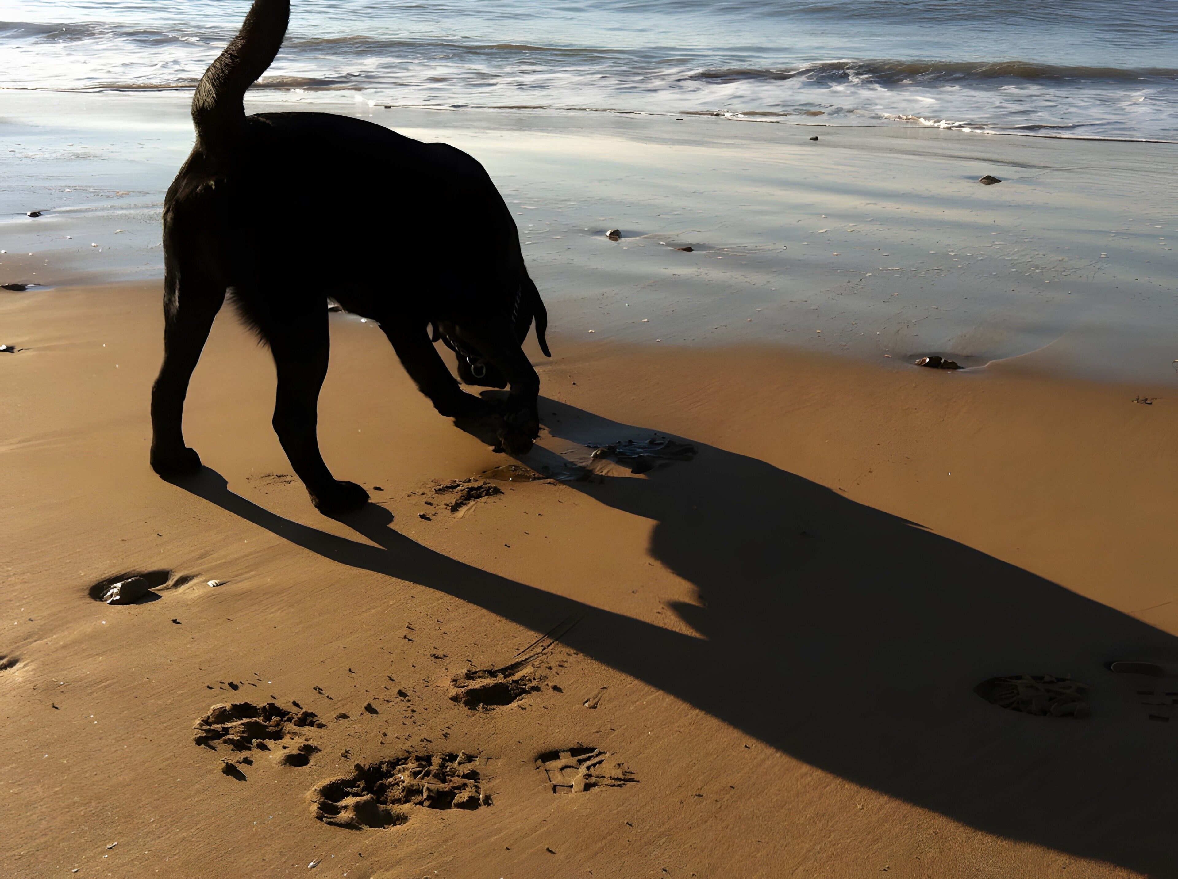 Plage