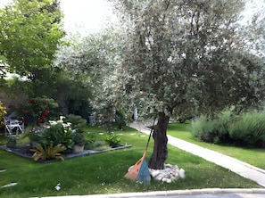 Un jardín bien cuidado con diversas plantas y un árbol.