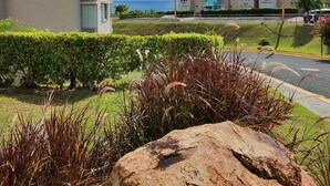 A modern building with multiple floors, a well-maintained lawn, and a clear view of the ocean. - TheTimeless Haven PR@ Oceanfront Escape- Maunabo (Maunabo)