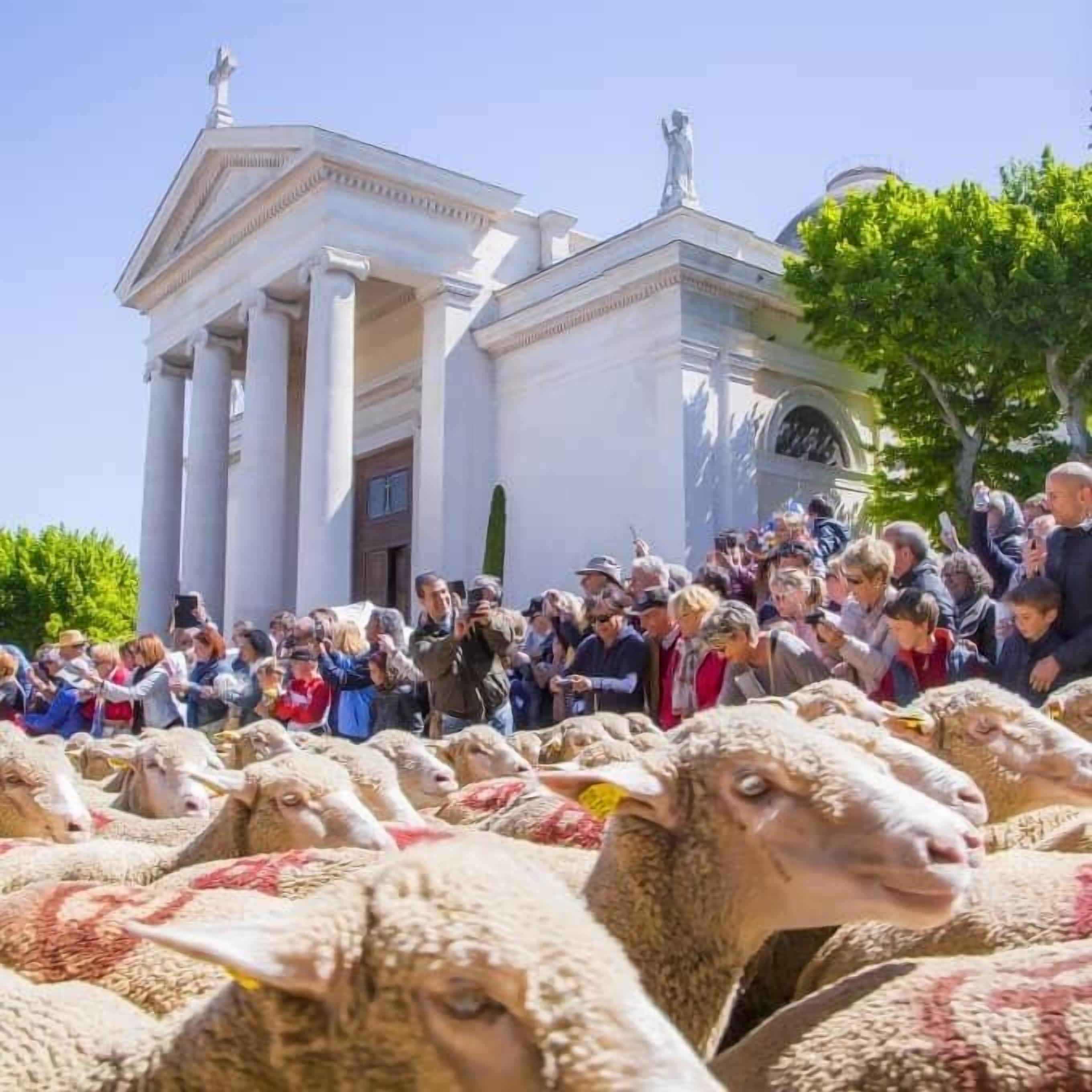 A building with classical architecture, a crowd of people, and a large group of sheep.
