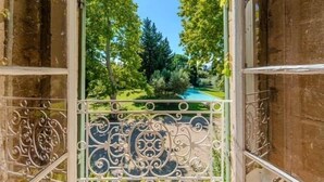 Visão através de um portão de metal com padrão decorativo, revelando uma paisagem verde com árvores e céu claro.
