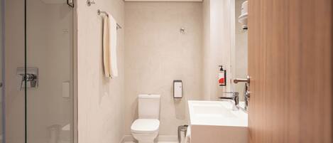 A modern bathroom with a glass shower enclosure, a toilet, and a sink with a mirror.