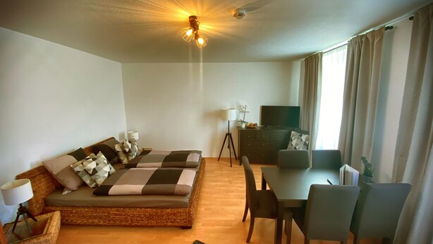 A modern living room with a sofa, dining table, chairs, a TV, and a ceiling light fixture. - Apartment at the ford (Erfurt)