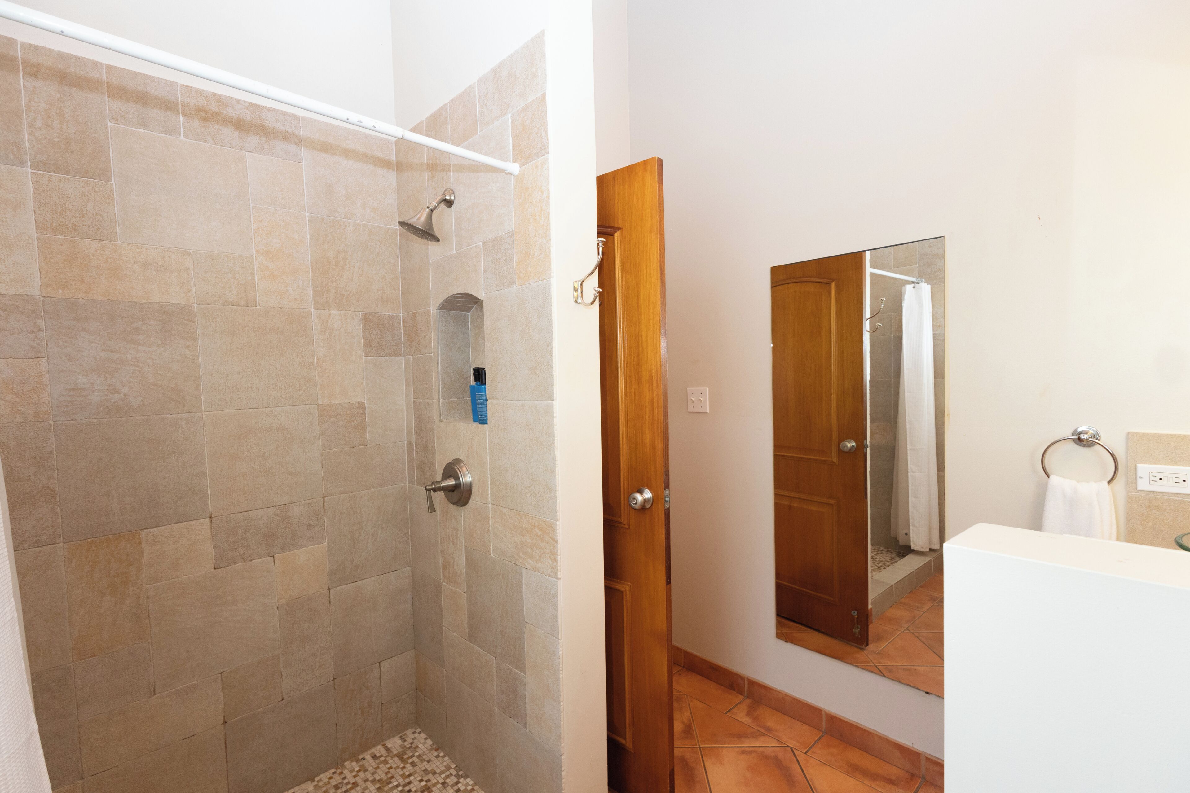A bathroom with a shower, a wooden door, a mirror, and a white sink.