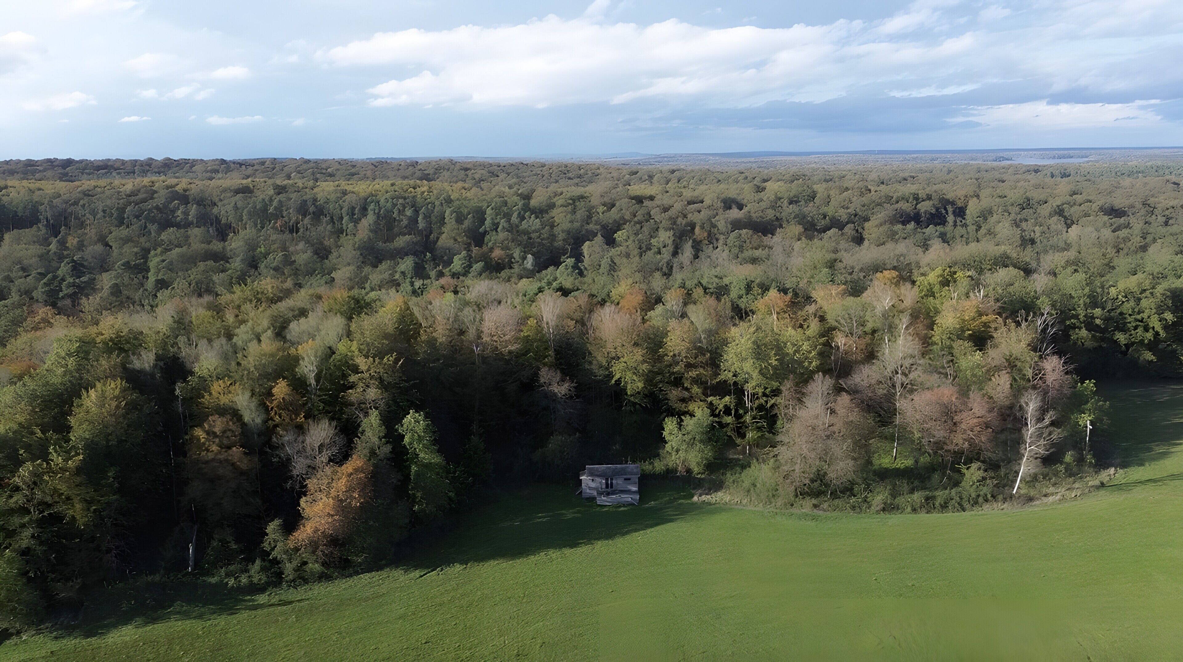 Eine ländliche Landschaft mit einem kleinen Haus, umgeben von dichtem Wald und offenen Feldern.