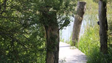 A narrow pathway flanked by trees and wooden posts, leading towards a body of water.