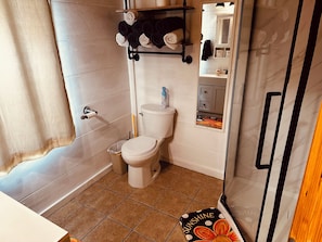 A bathroom with a toilet, a shower, a towel rack, and a small shelf with toiletries.