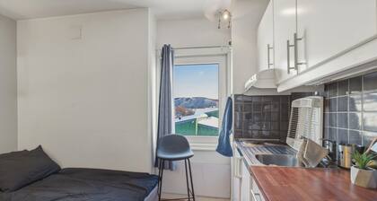 Beautiful apartment in Nordland perfect for your next getaway L11 201
