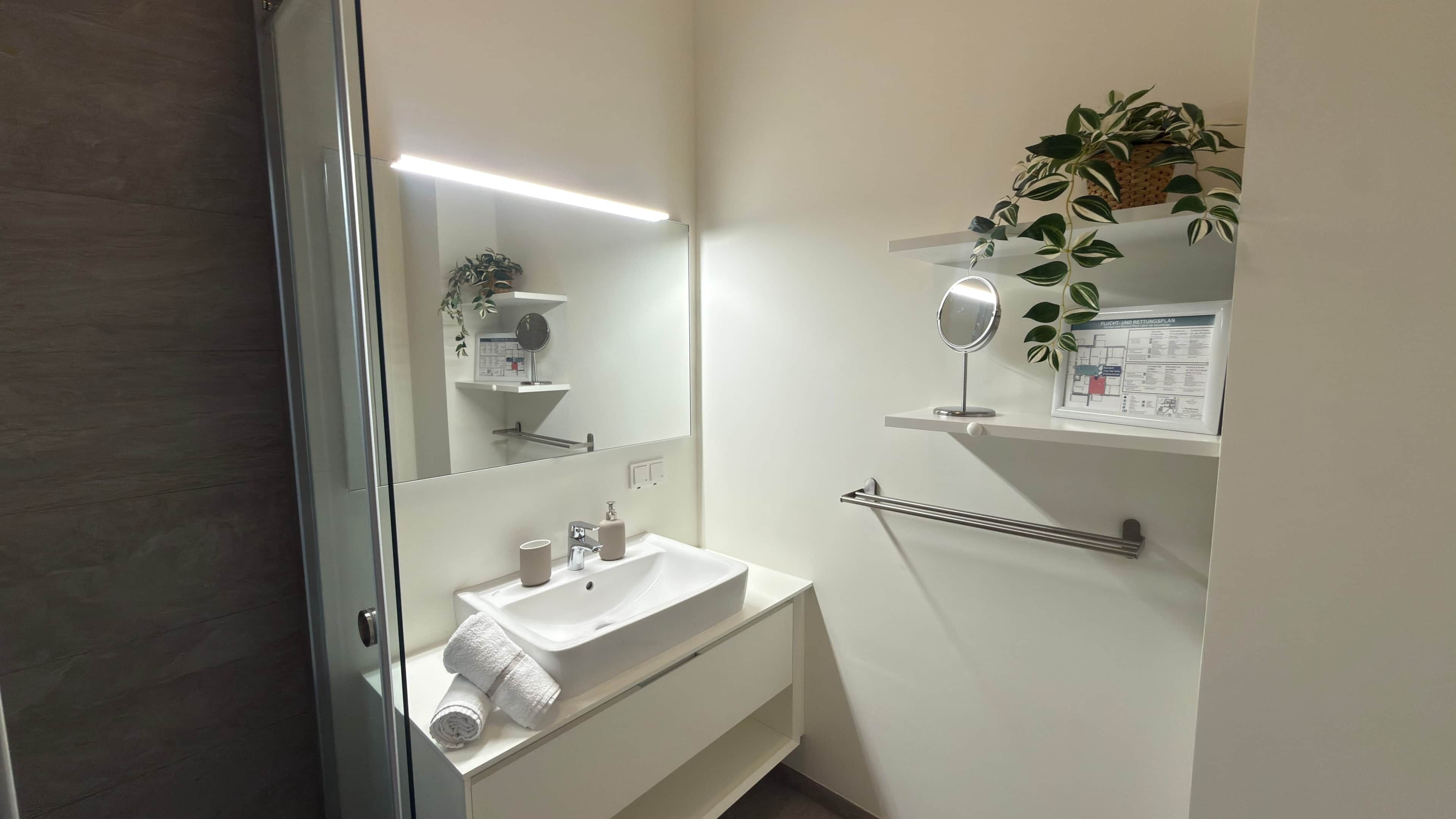 Hair dryer, towels