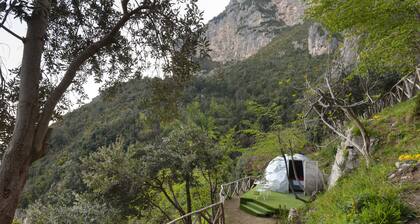 De Vivo Realty - Boscosfera Amalfi