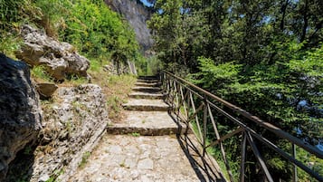 Handrails in stairways