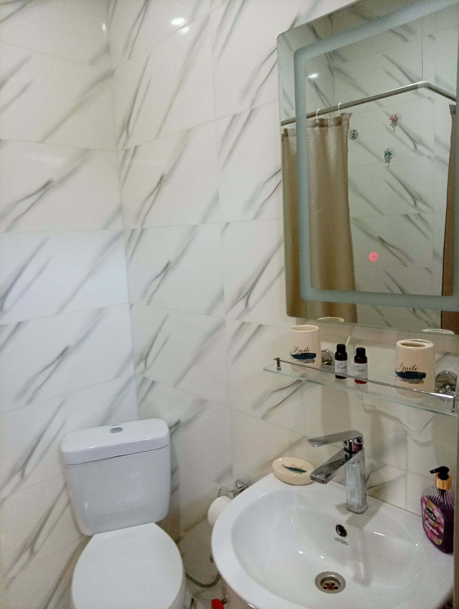 Shower, towels, toilet paper
