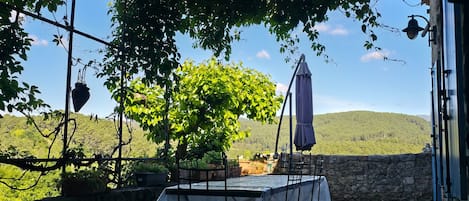 Restauration en plein air