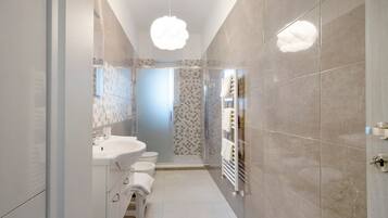 Shower, hair dryer, towels