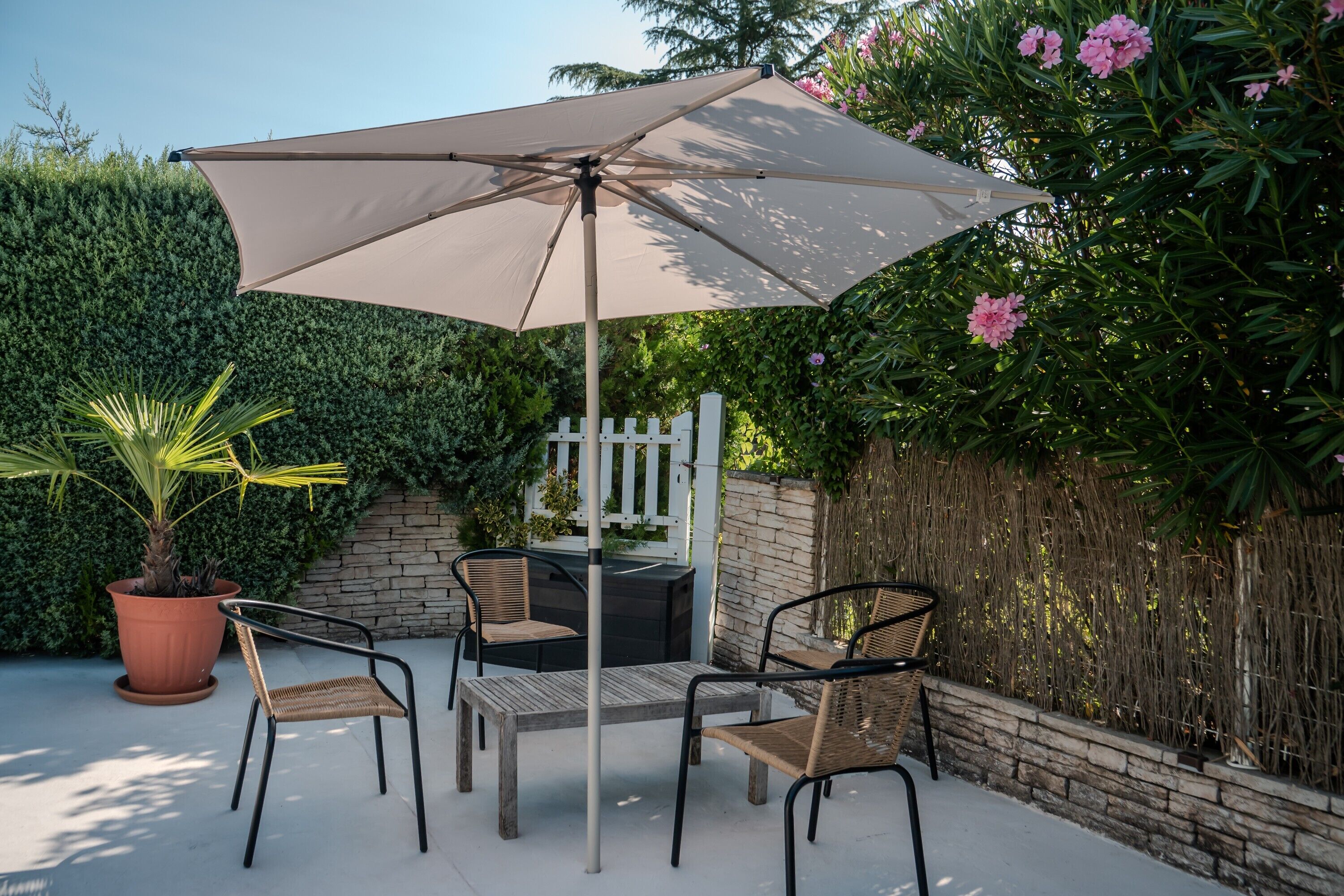 En udendørs patio med et bord, stole, en stor parasol og en potteplante.