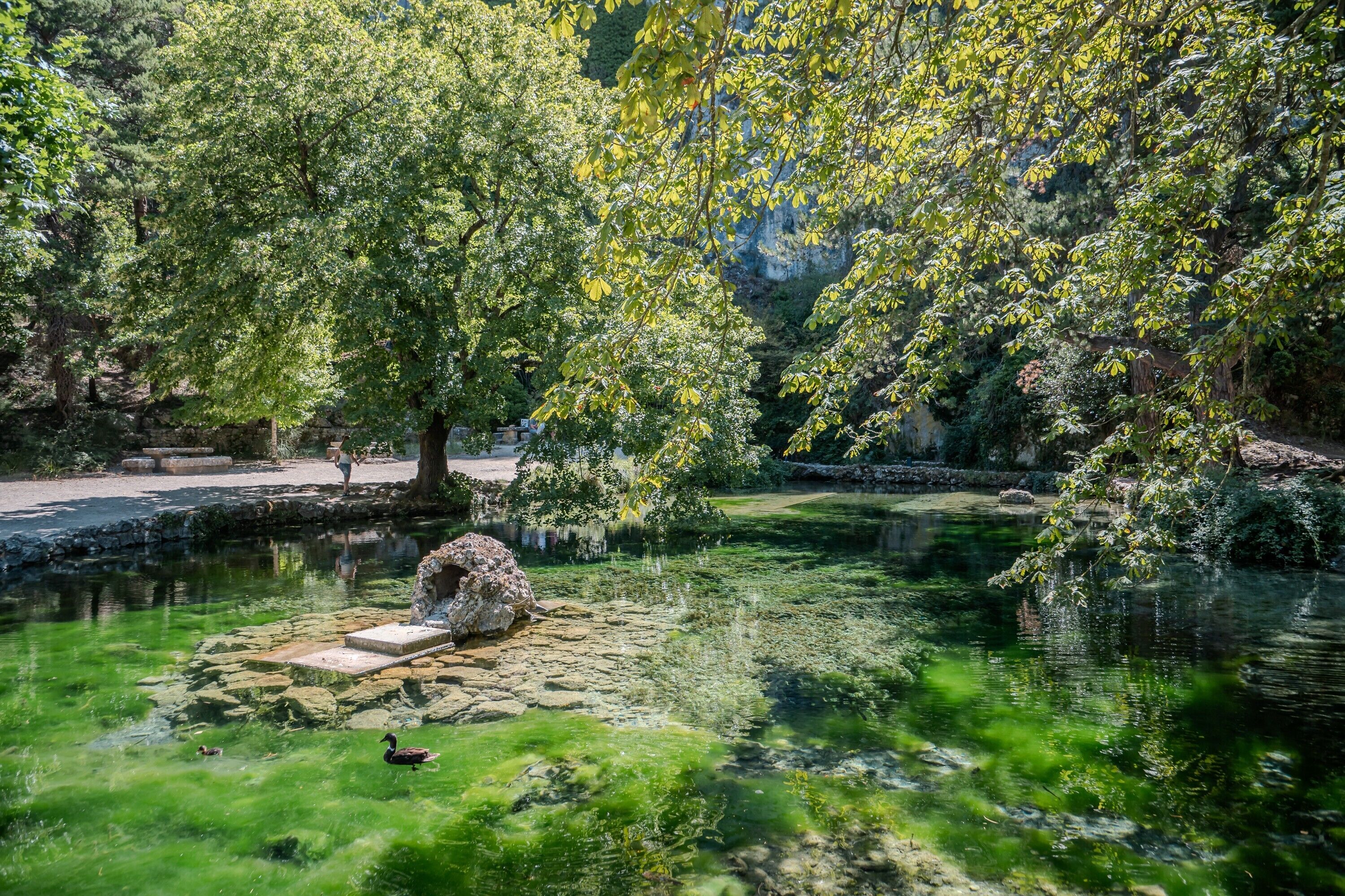 Un étang paisible, bordé d’une végétation luxuriante et d’arbres, dont la surface claire de l’eau reflète le ciel.