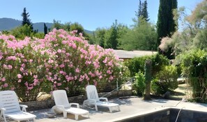 Un espace aménagé au bord de la piscine, avec des chaises longues blanches, un mur en pierre et un jardin agrémenté de fleurs roses.