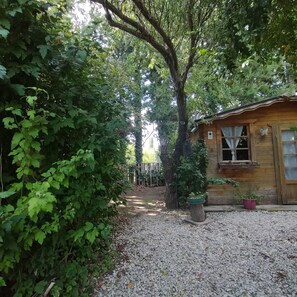 A wooden cabin with a gravel path leading to it, surrounded by dense foliage.