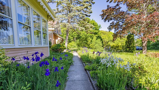 A pathway flanked by vibrant flowers and greenery, leading to a house with large windows. - The Villa Callo Inn (West Harwich)