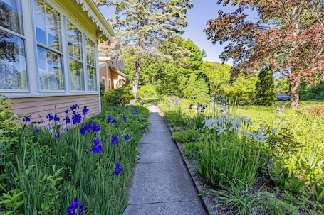 A pathway flanked by vibrant flowers and greenery, leading to a house with large windows.. The Villa Callo Inn