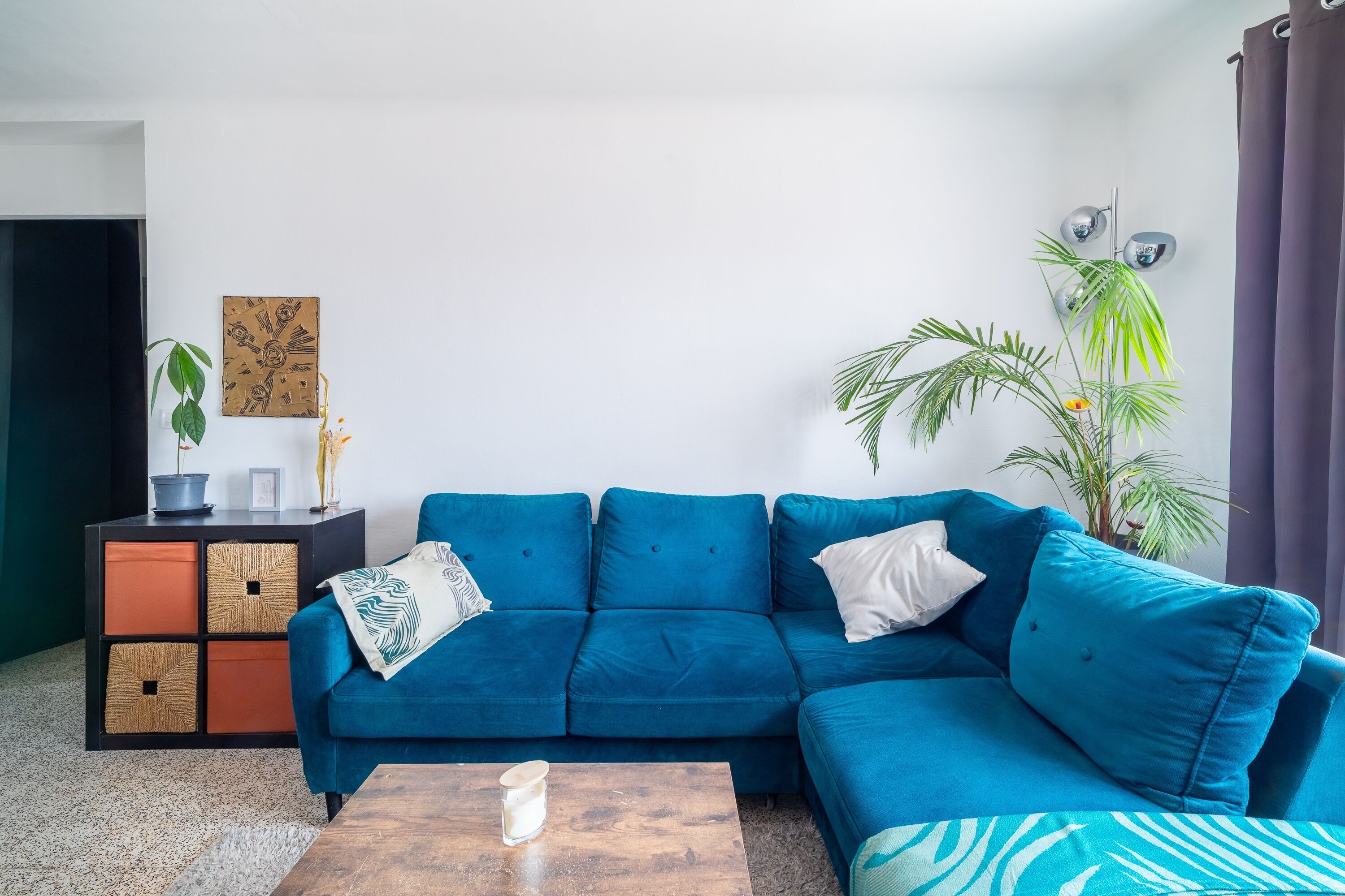 A modern living room with a blue sectional sofa, a wooden coffee table, a decorative plant, and a wall-mounted light fixture.