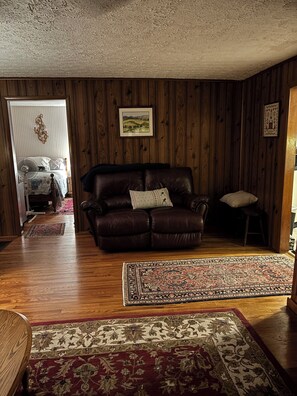 Smart-TV, Kamin