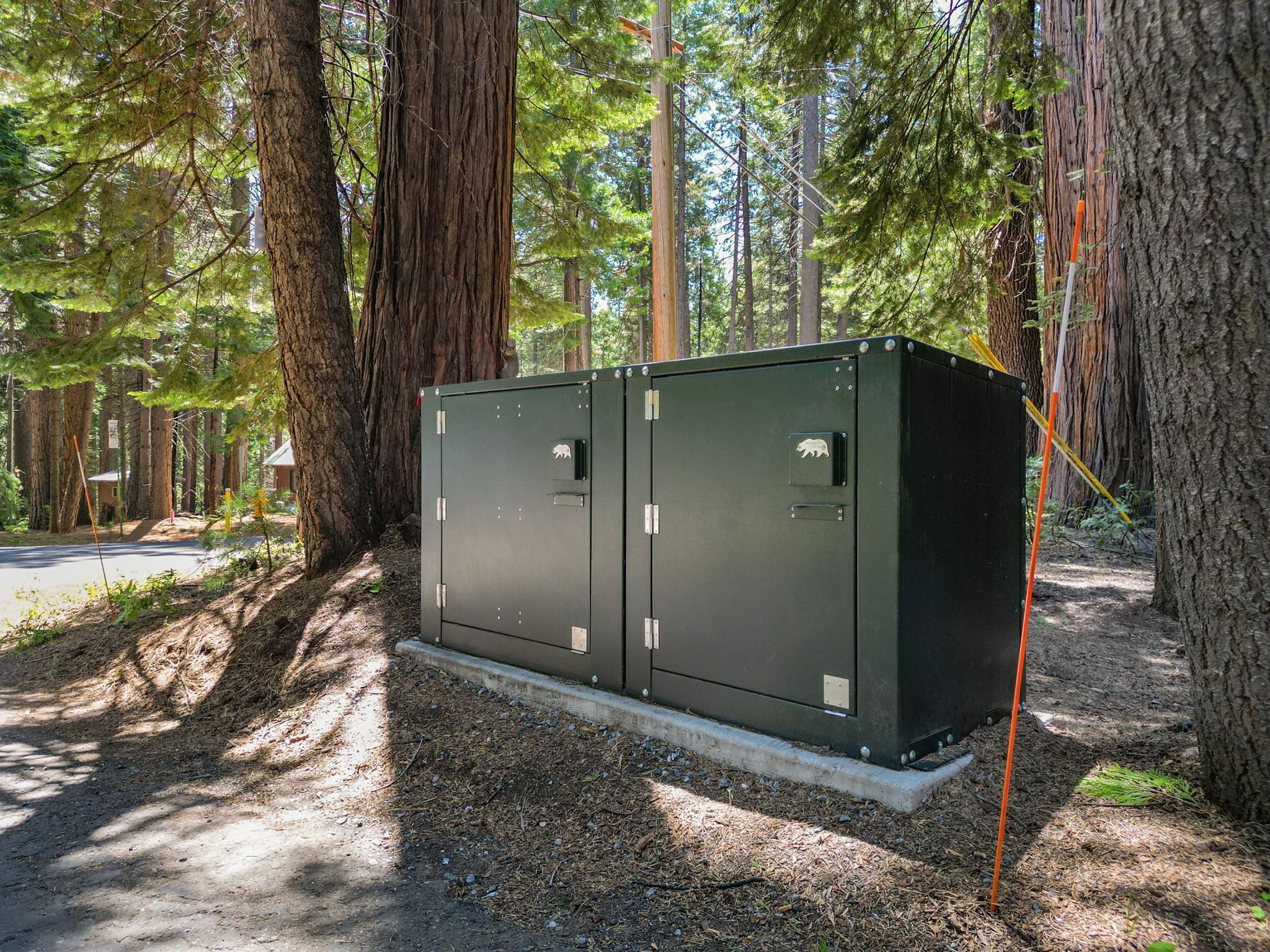 A metal utility box in a forested area with trees and a road in the background.