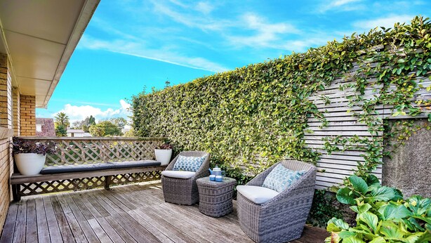 Eine Holzterrasse mit Korbmöbeln und einer grünen Wand, die mit Efeu bewachsen ist.