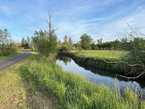 A rural landscape with a narrow waterway, a paved road, and trees.