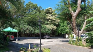 A parking area with cars, a green canopy, and a street lamp. - Alquiler de Departamento, excelente ubicación. (Managua)