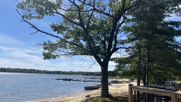 A lakeside view with a dock, a tree, and a wooden deck.
