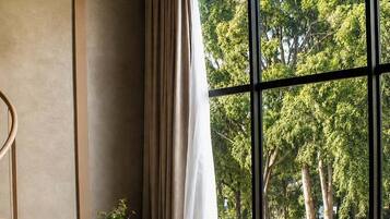Deluxe suite | Gratis wifi