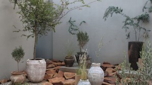 Een tuin met planten in potten, stenen en een boom.