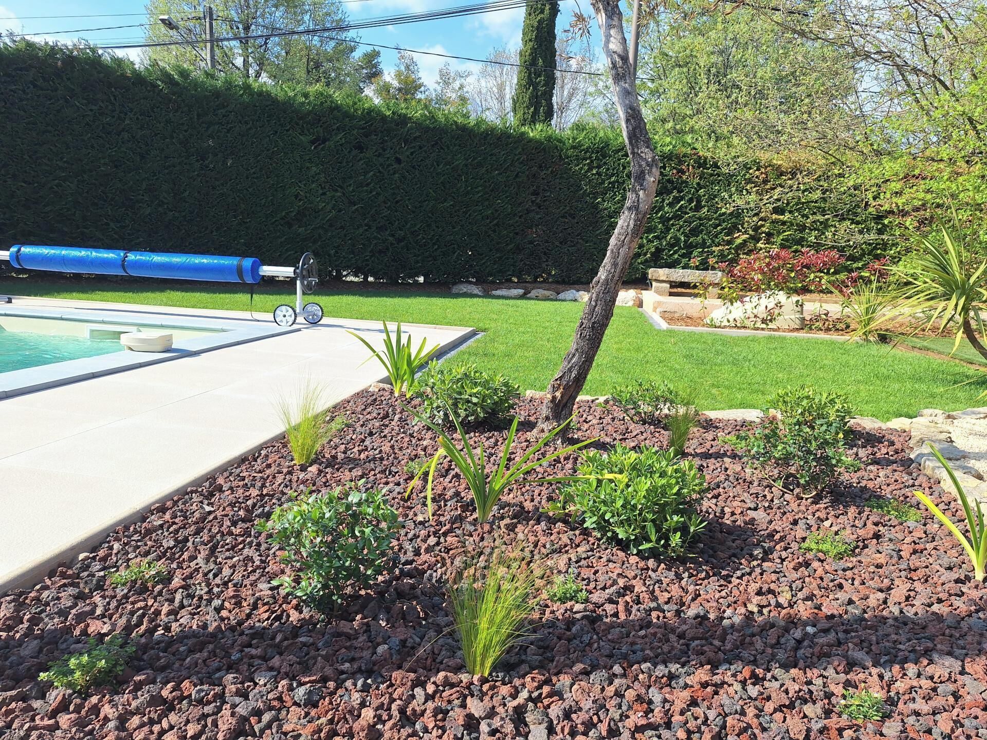 A swimming pool with a surrounding garden area, including a variety of plants and a hose reel.