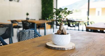 Soča Riverside Boutique stay