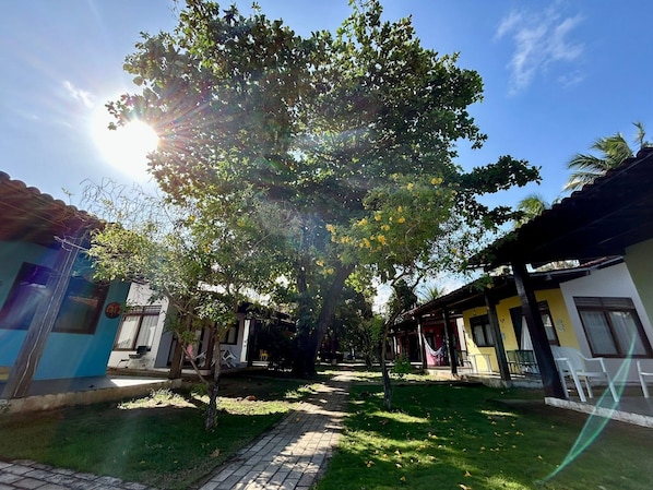 A courtyard with a tree, a pathway, and two buildings with visible windows and doors.
