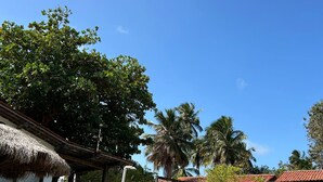A swimming pool with a thatched-roof structure, palm trees, and a clear blue sky. - Chalé Feriasclub, 87 Rua da Praia, Maragogi, Brazil (Maragogi)
